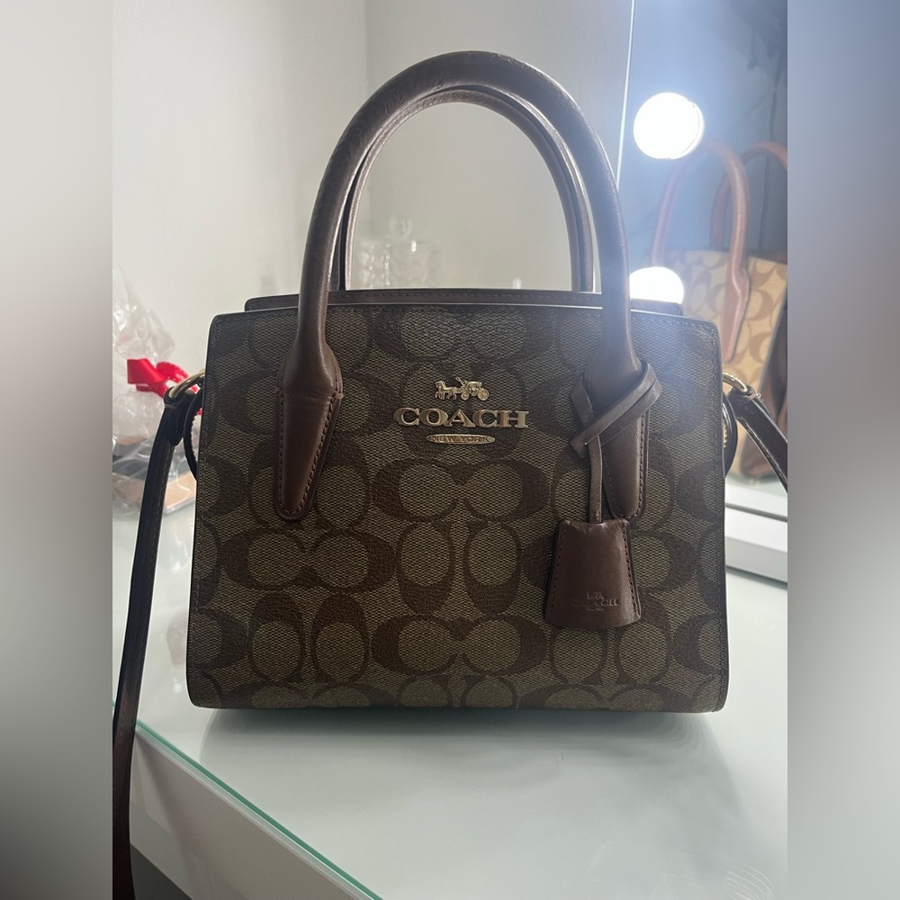 COACH ANDREA CARRYALL BAG